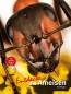 Preview: Entdecke die Ameisen